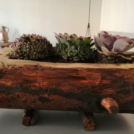 La Casina Di Appartamento *