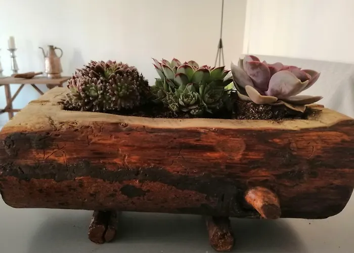 La Casina Di Apartamento *